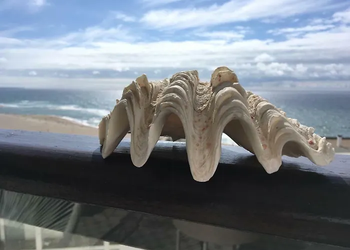 Salty House - Casa Salgada 아파트 포즈도아렐로